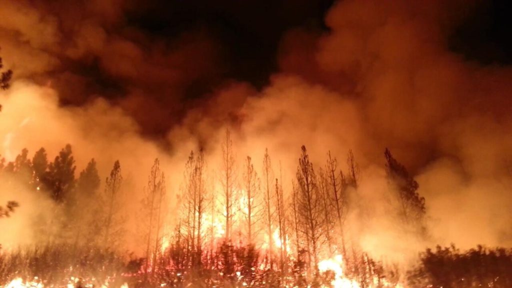 The Rim Fire in the Stanislaus National Forest near in California began on Aug. 17, 2013 and is under investigation. The fire has consumed approximately 149, 780 acres and is 15% contained. U.S. Forest Service photo.