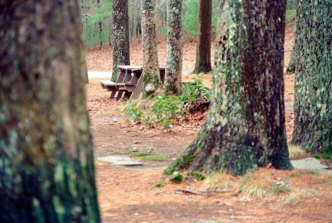 Take A Hike: The Best Hiking & Nature Spots in MA