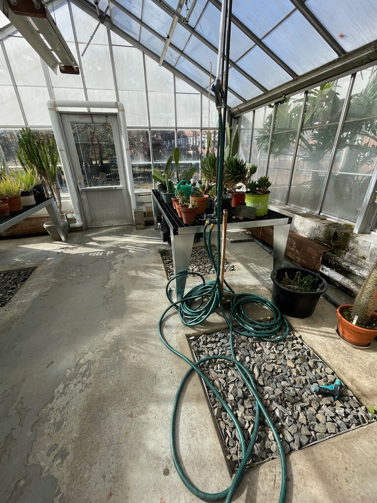 Interior of one of Westfield States greenhouses.